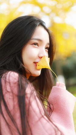 九一免费版安装步骤示意图